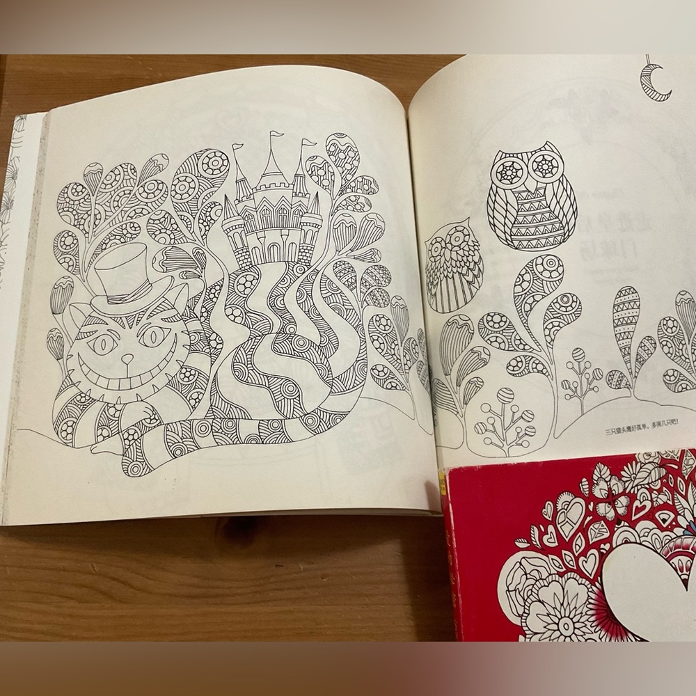 Amily Shen: Alice in Wonderland and Love Secret Chinese coloring  books duo/set - Picture 7 of 9